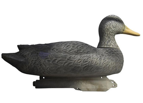 Battleship Black Duck